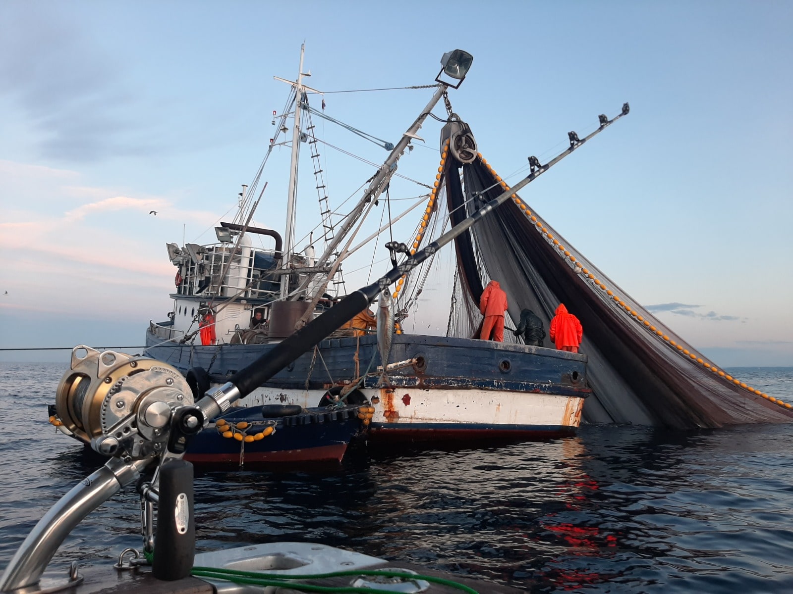 drift-fishing-for-tuna