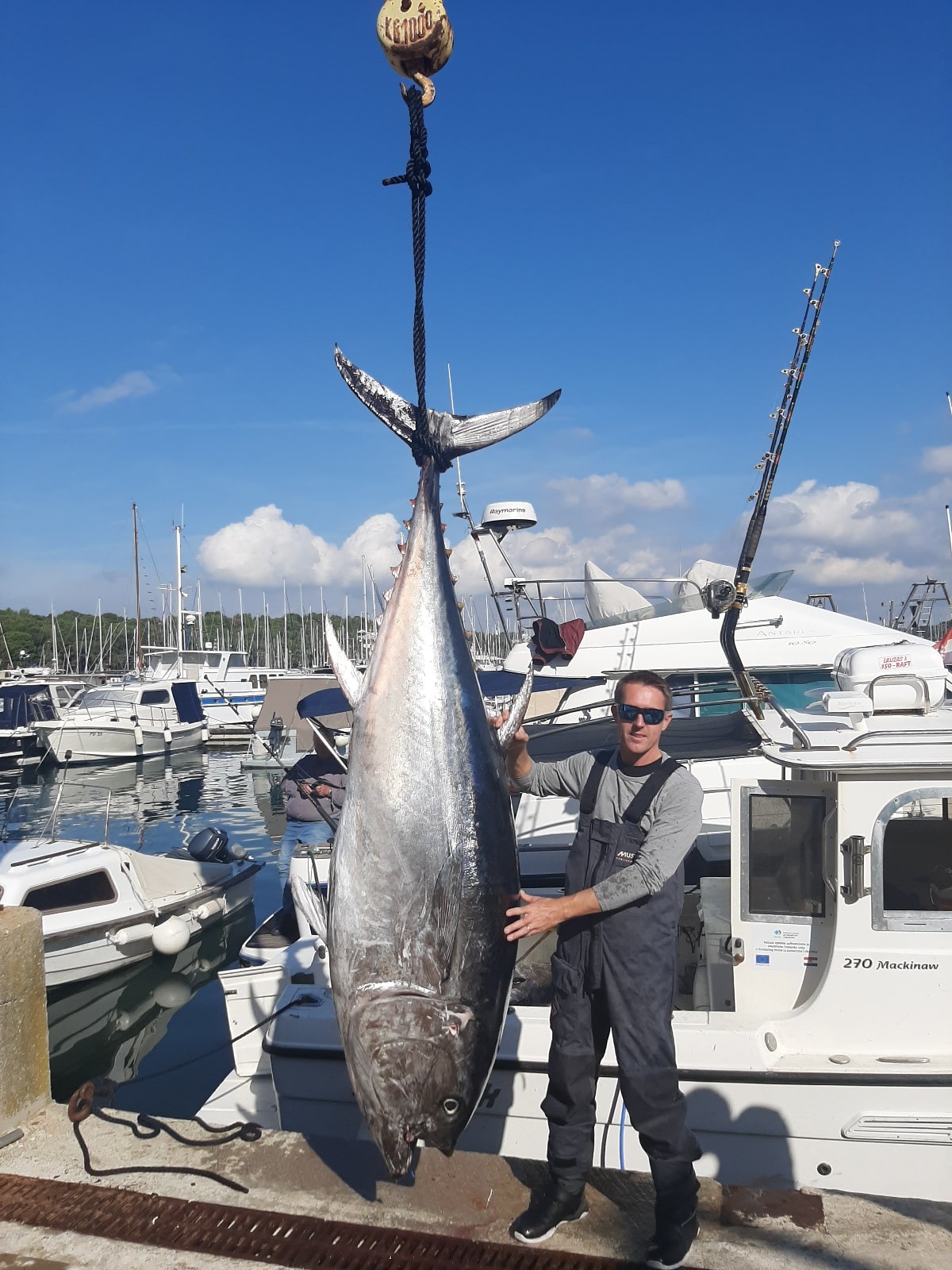 world-record-bluefin-tuna