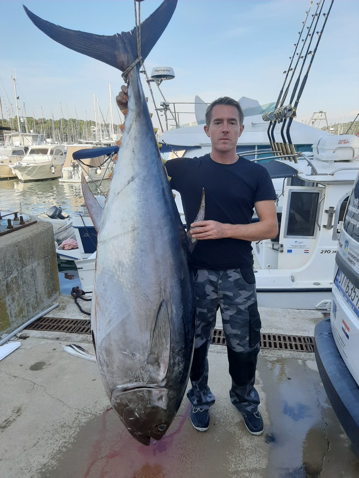 giant-blurfin-tuna